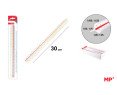 ESCALIMETRO PLASTICO 30CM