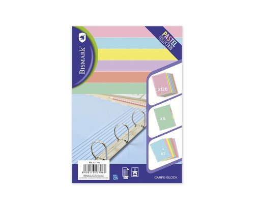 CARPETA CON 4ANILLAS +120H DE RECAMBIO DE COLORES +1CARPETA DE PLASTICO