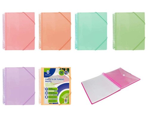 CARPETA DE ANILLAS CON 30 FUNDAS