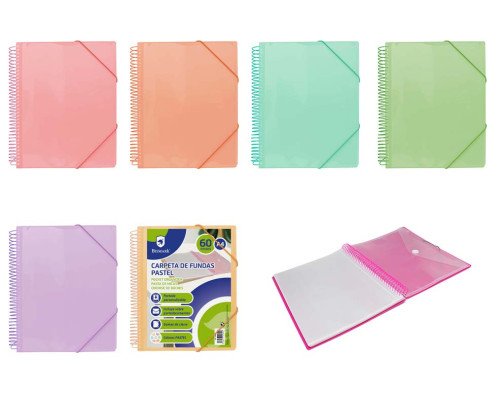CARPETA DE ANILLAS CON 60 FUNDAS
