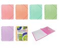 CARPETA DE ANILLAS CON 60 FUNDAS